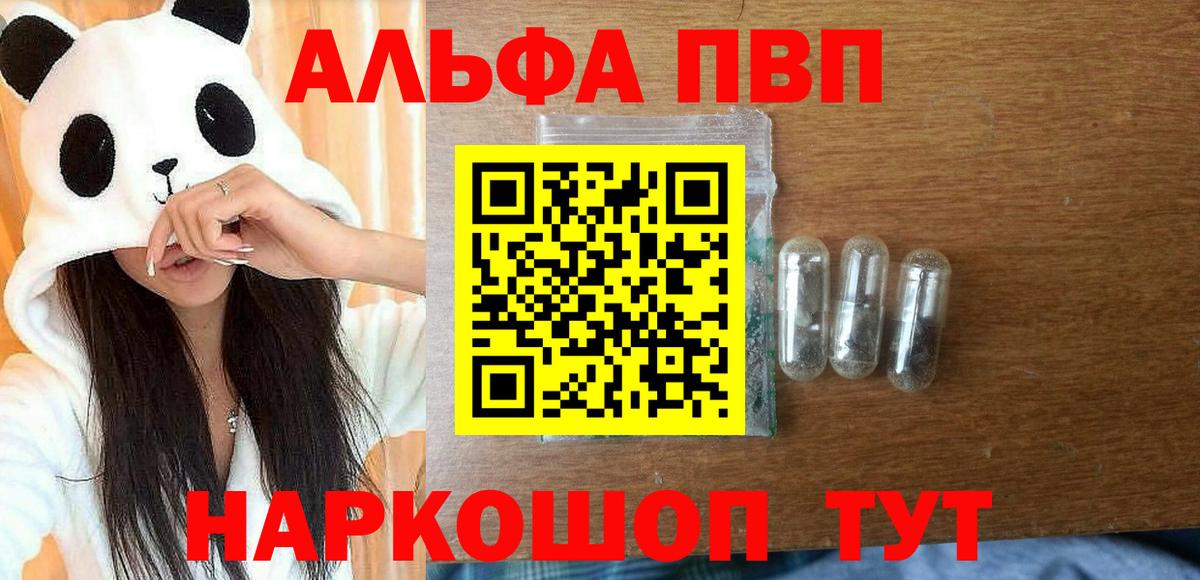 A PVP СК КРИС Новоалтайск