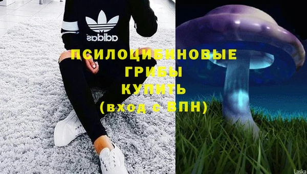 ECSTASY Навашино