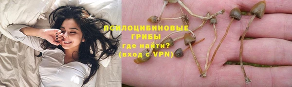 ECSTASY Навашино