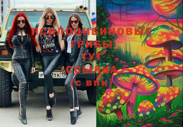 сатива Надым