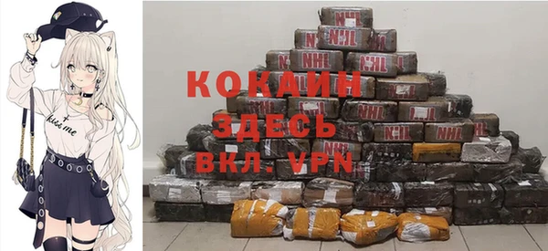 сатива Надым