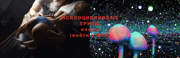сатива Надым