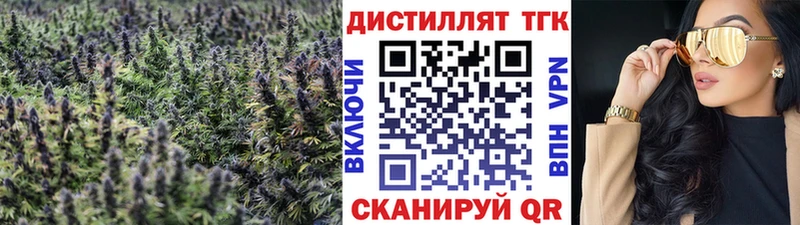 KRAKEN зеркало  Новоалтайск  ТГК THC oil  купить наркоту 
