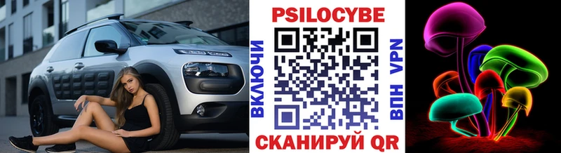 Псилоцибиновые грибы Psilocybine cubensis mega онион Новоалтайск