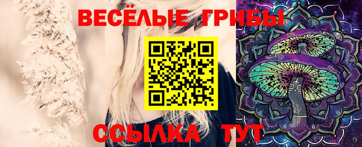 цены наркотик  Галлюциногенные грибы мухоморы  Вход с VPN  Псилоцибиновые грибы Cubensis  Новоалтайск 