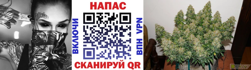 Марихуана Amnesia  Новоалтайск 